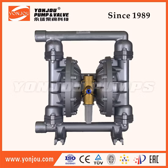 Pompa pneumatica a membrana Qby 25-40, membrana bianca rivestita in PP